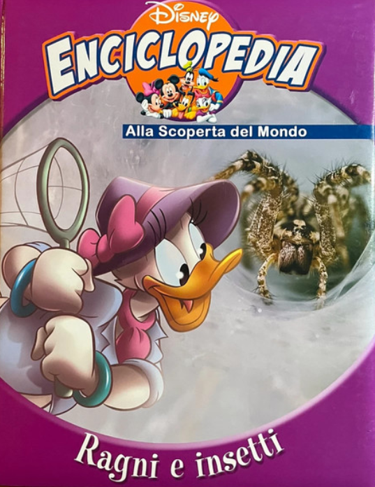 ECICLOPEDIA - Ragni e insetti 23